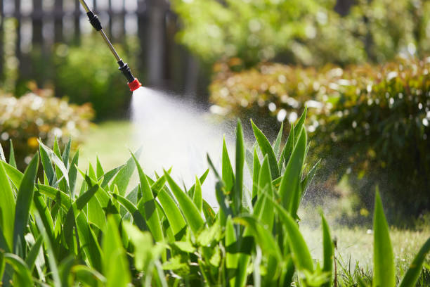 24/7 Emergency Mosquito Control experts in Harrisburg, AR